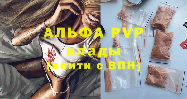 стафф Ладушкин
