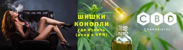СК Липки