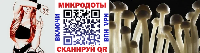 Псилоцибиновые грибы GOLDEN TEACHER  Купить  Тырныауз 
